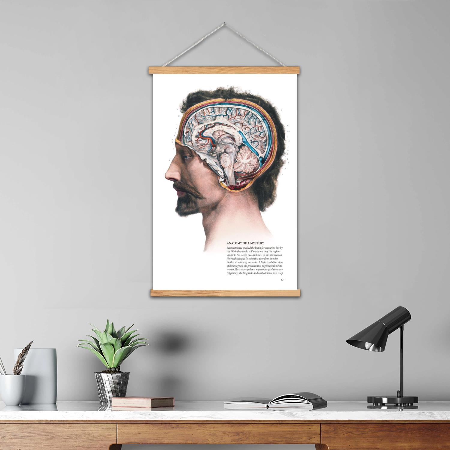 brain Framed Wall Painting Can - Art Print Framed recension och pris