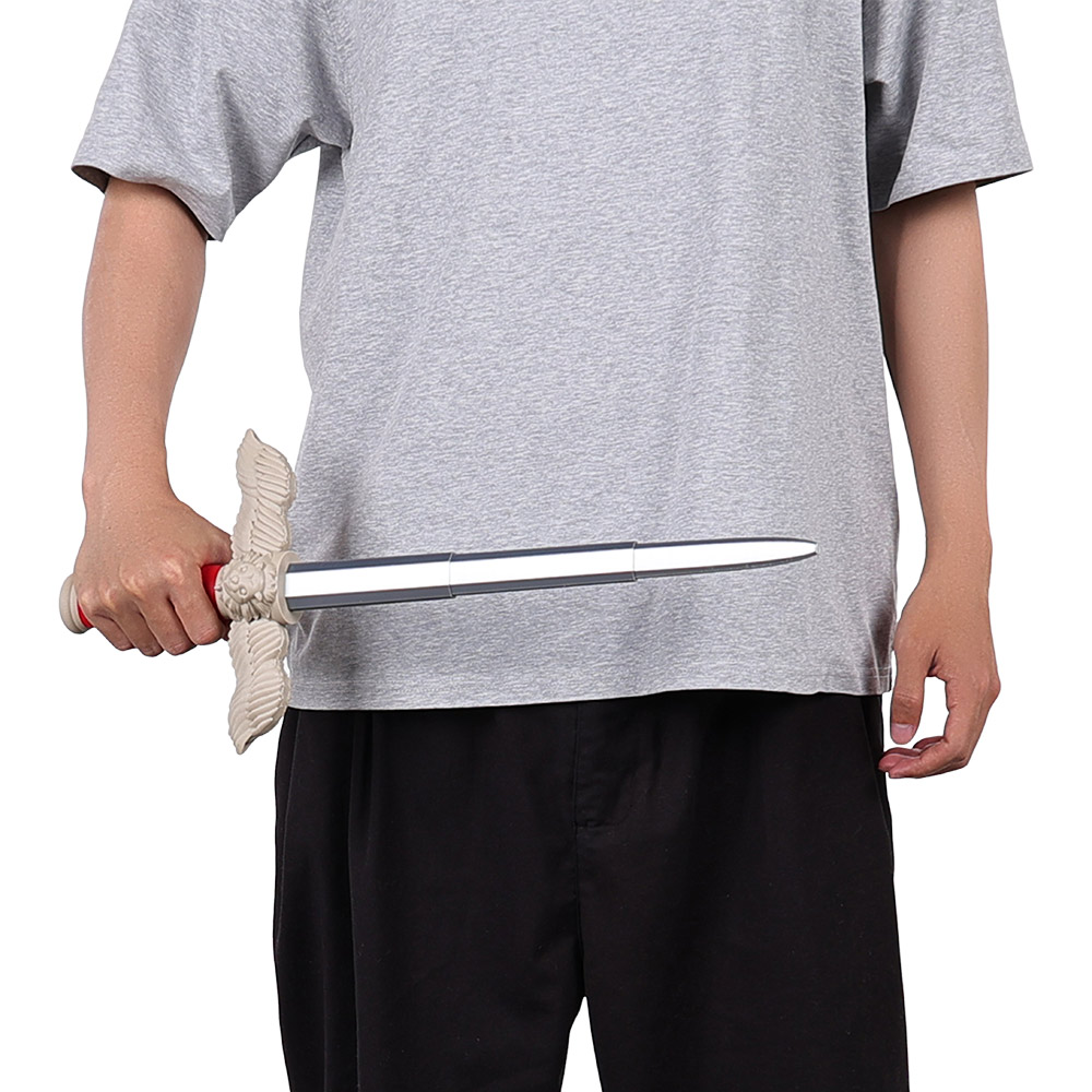 Disguise Laios Swords Ornament - Cosplay Prop Sword recension och pris
