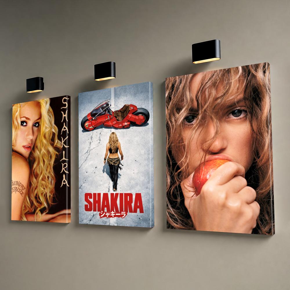 Singer Music Album S-Shakira F - Art Print Framed recension och pris